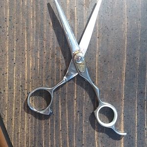 Professional hairdressing scissors